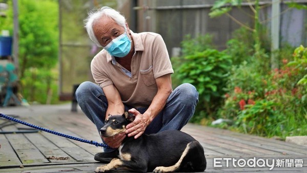 ▲新北金牌農村推認養農場守護犬　浪浪被收編社區迎接新夥伴。（圖／新北市農業局提供）