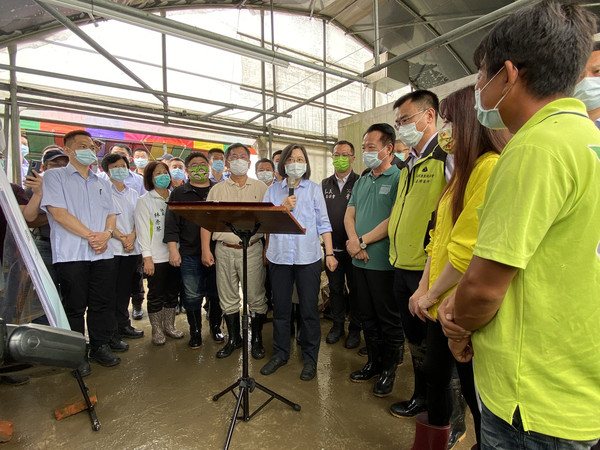 ▲蔡英文視察新港溫室蕹菜受損情形 翁章梁積極爭取改善區域排水問題。（圖／嘉義縣政府提供）