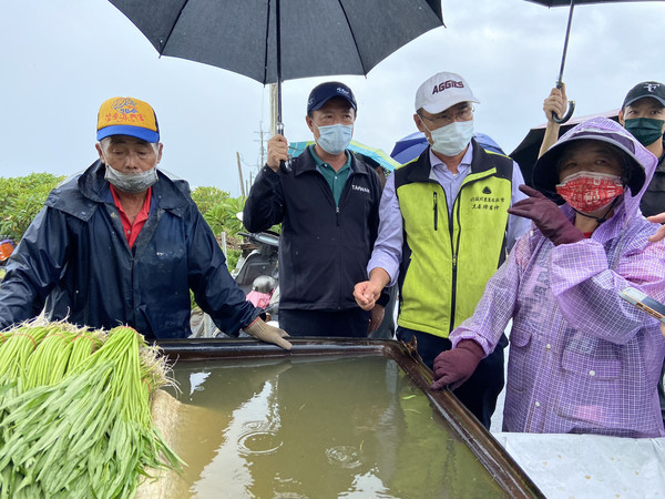 ▲蔡英文視察新港溫室蕹菜受損情形 翁章梁積極爭取改善區域排水問題。（圖／嘉義縣政府提供）