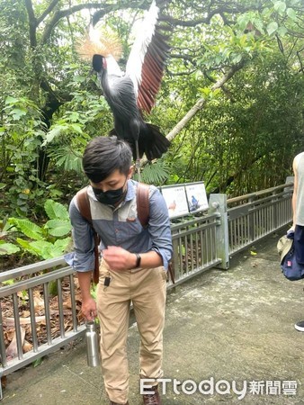 去動物園被鳥騎。（圖／網友顏嘉岑提供）