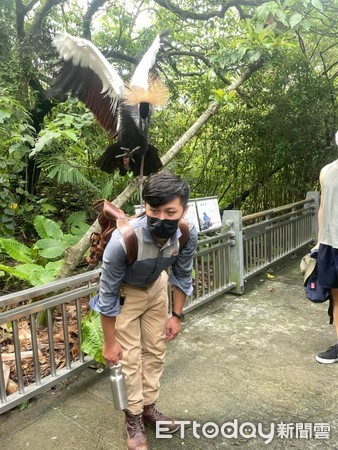 去動物園被鳥騎。（圖／網友顏嘉岑提供）