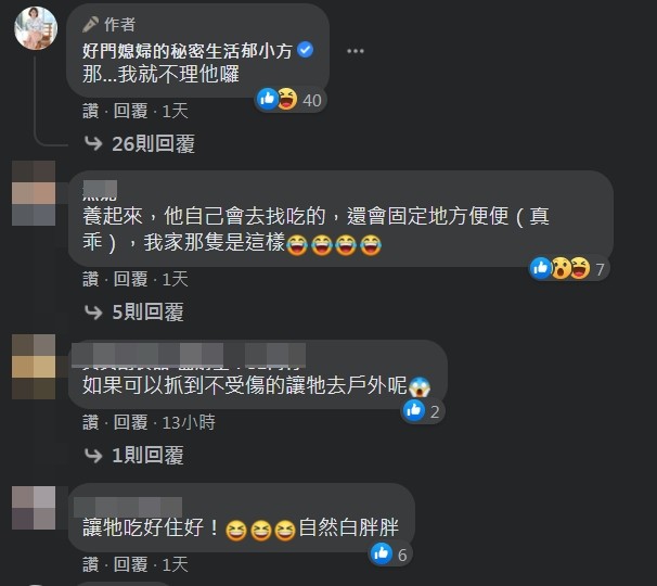 ▲▼郁方驚見家中有小小壁虎上網求救。（圖／翻攝自臉書／好門媳婦的秘密生活郁小方）