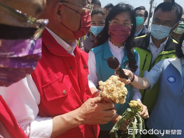 ▲行政院長蘇貞昌視察彰化福興及芳苑農損。（圖／記者唐詠絮攝，以下同）