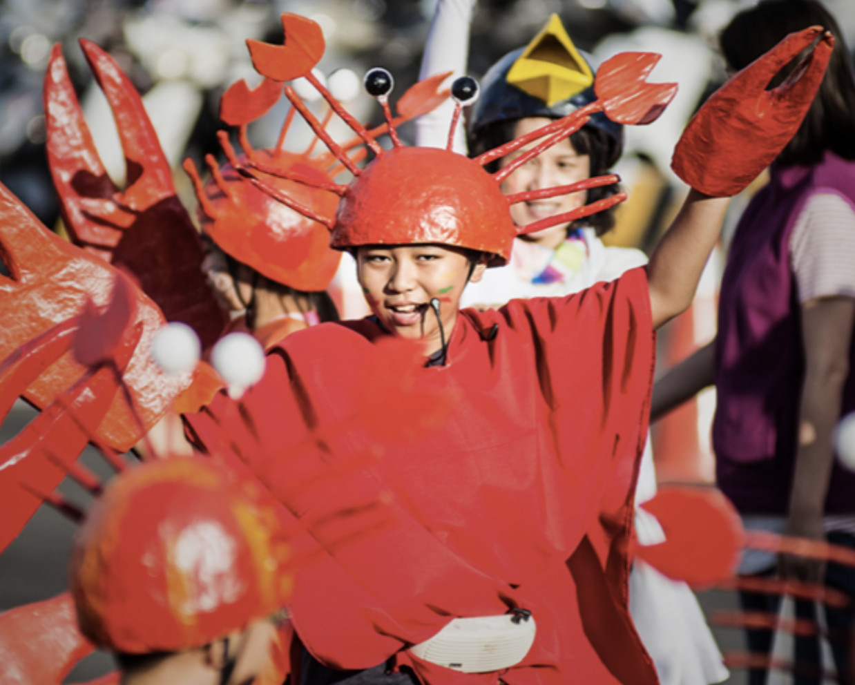 ▲▼ 亞洲首間「珍古德小學」台灣開辦！　培育愛護地球行動力  。（圖／台灣珍古德協會提供）