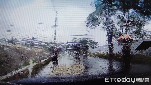 ▲颱風天約50隻鴨子在堤防便道閒逛，警員冒著風雨於現場「指揮鴨群」。 （圖／記者蔡佩旻翻攝
