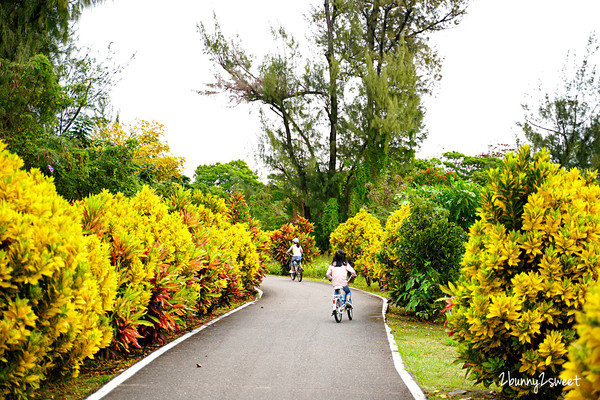 ▲▼台東森林公園。（圖／兔兒毛毛姊妹花授權提供，下同，請勿隨意翻攝以免侵權）