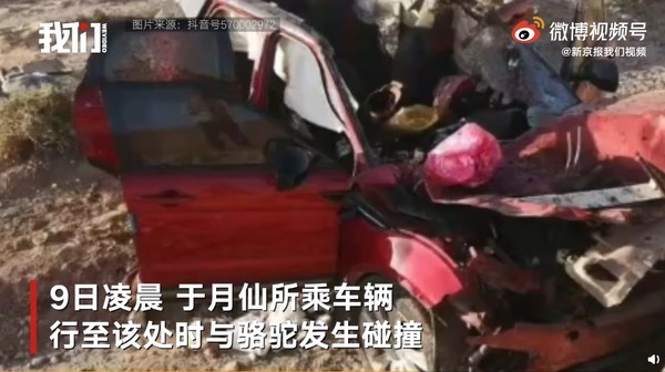 ▲于月仙在內蒙古撞上駱駝，車禍身亡。（圖／翻攝自微博／于月仙）