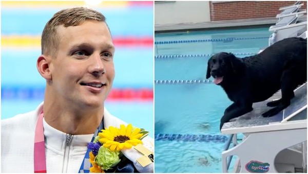 ▲東奧5金泳將「新飛魚」德萊塞（Caeleb Dressel）跟愛犬一起游泳 。（圖／翻攝自推特）