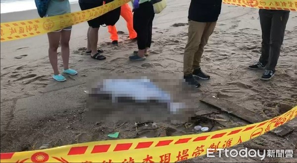 ▲白海豚死亡。（圖／記者林名揚翻攝）