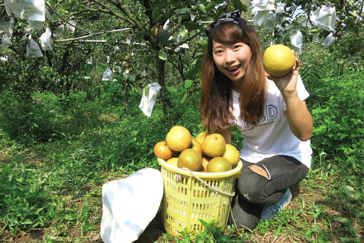 邊採果邊環島 精選全台12家優質果園還有葡萄酒暢飲 Diy體驗 Ettoday旅遊雲 Ettoday新聞雲