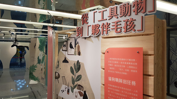 ▲▼臺灣文學館新推出的主題特展「友直友諒友多毛」，展出貓狗相關的人類文學創作。（圖／國立臺灣文學館）