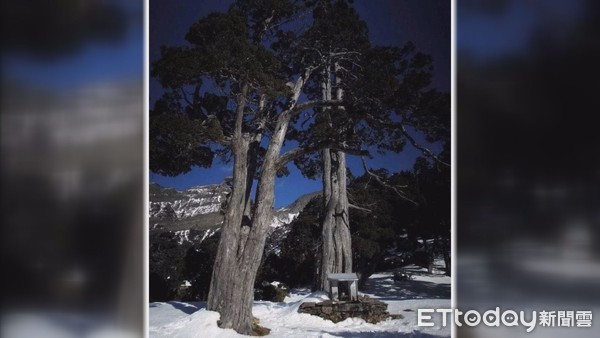 ▲曾是全台最高的雪山翠池土地公，因擔心焚香恐引發火災，已遷移至台中和平區八仙山國家森林遊樂區內。（圖／雪霸國家公園管理處提供）