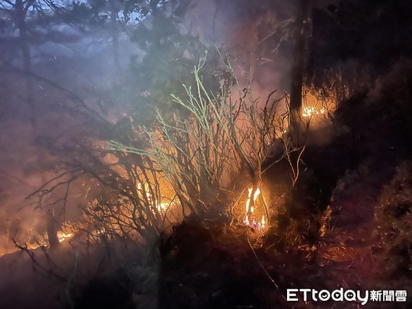 ▲玉山國家公園八通關杜鵑營地去年5月爆森林大火。（圖／資料照片）