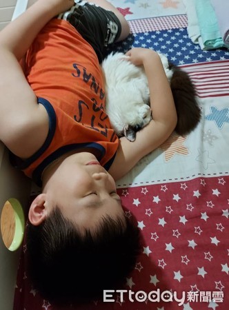 ▲回房睡覺「床被牠霸佔」　8歲弟貼心1舉動…網讚爆：貓奴考試合格。（圖／網友Toni Lau提供，請勿隨意翻拍，以免侵權。）