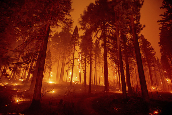 ▲▼美國加州卡爾多山火（Caldor Fire）。（圖／達志影像／美聯社）