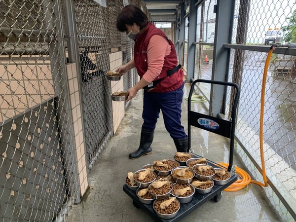 ▲▼「國際狗狗日」鼓勵帶愛犬上班！　一通電話可免費施打狂犬病疫苗。（圖／新北市動保處提供）