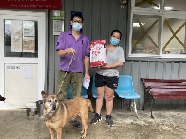 ▲▼「國際狗狗日」鼓勵帶愛犬上班！　一通電話可免費施打狂犬病疫苗。（圖／新北市動保處提供）