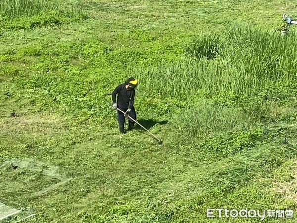 ▲余爸爸兒子獨自頂著烈日割草。（圖／記者楊漢聲翻攝）