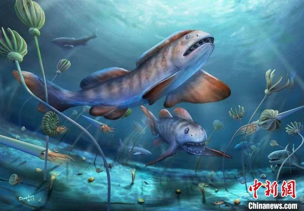 ▲▼2.9億年前山西陽泉瓣齒鯊的生態復原圖。（圖／取自中科院古脊椎所供中新社圖）