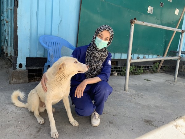 動物救援團體Nowzad。（圖／翻攝自Nowzad臉書）