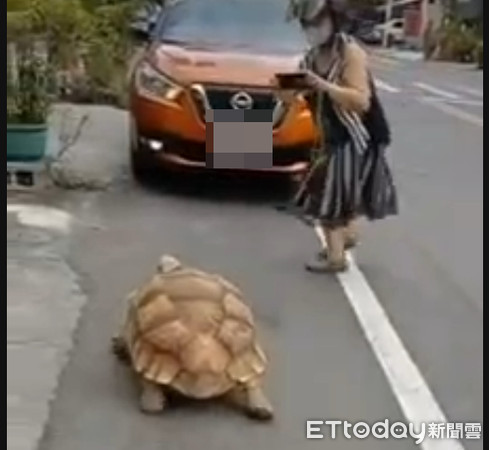 ▲▼             。（圖／記者陳崑福攝）