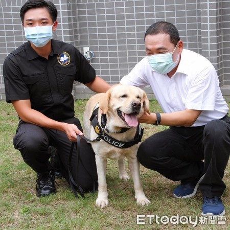 警犬福星。（圖／粉專警犬福星提供）