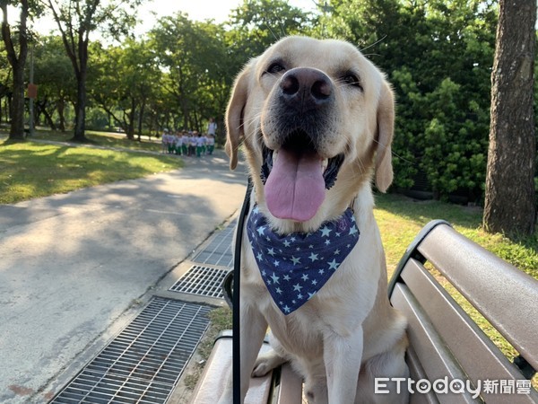 警犬福星。（圖／粉專警犬福星提供）