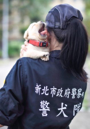 警犬福星萌上國際版面。（圖／NPA署長室臉書／資料照片）