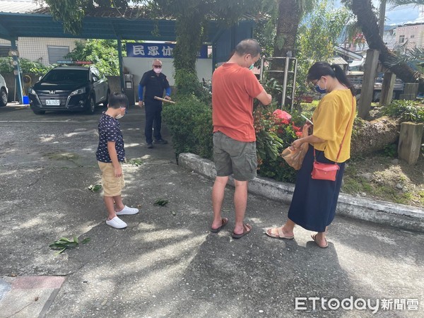 ▲▼花蓮東里派出所的2棵老鐵樹是台灣目前最長最老的鐵樹。（圖／玉里分局提供，下同）