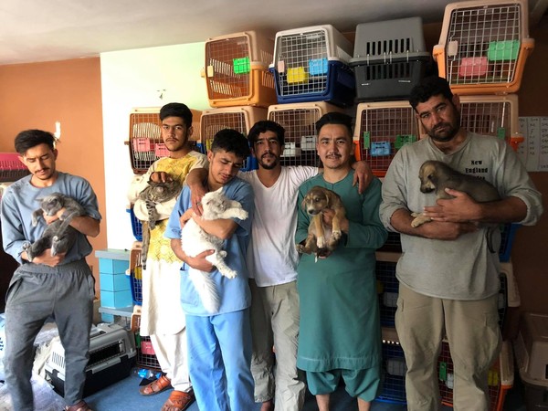 喀布爾動物救援團體撤離失敗。（圖／取自Kabul Small Animal Rescue）