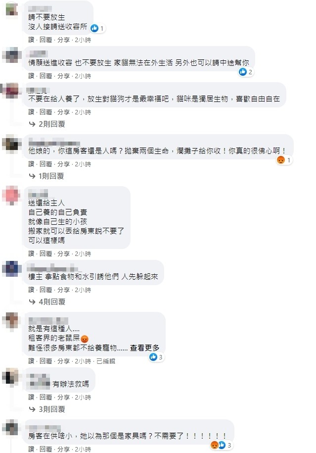 ▲▼房客搬家了，昨天去打掃了，就留下兩隻貓，房東崩潰：請問抓貓有甚麼技巧（圖／翻攝爆廢公社）