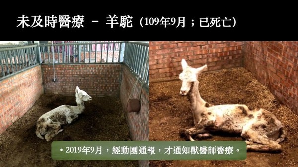 ▲▼動保團體抗議高雄淨園農場漠視動物福利、違法展演，中央、地方政府失職長期縱容虐待動物。（圖／翻攝自台灣防止虐待動物協會粉絲專頁）