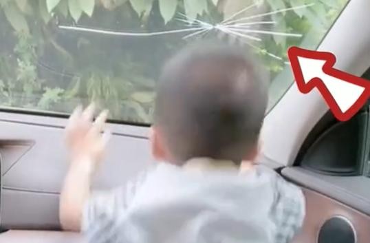 ▲2歲娃抗拒上幼幼班，一頭撞破汽車前擋風玻璃。（圖／翻攝微博）