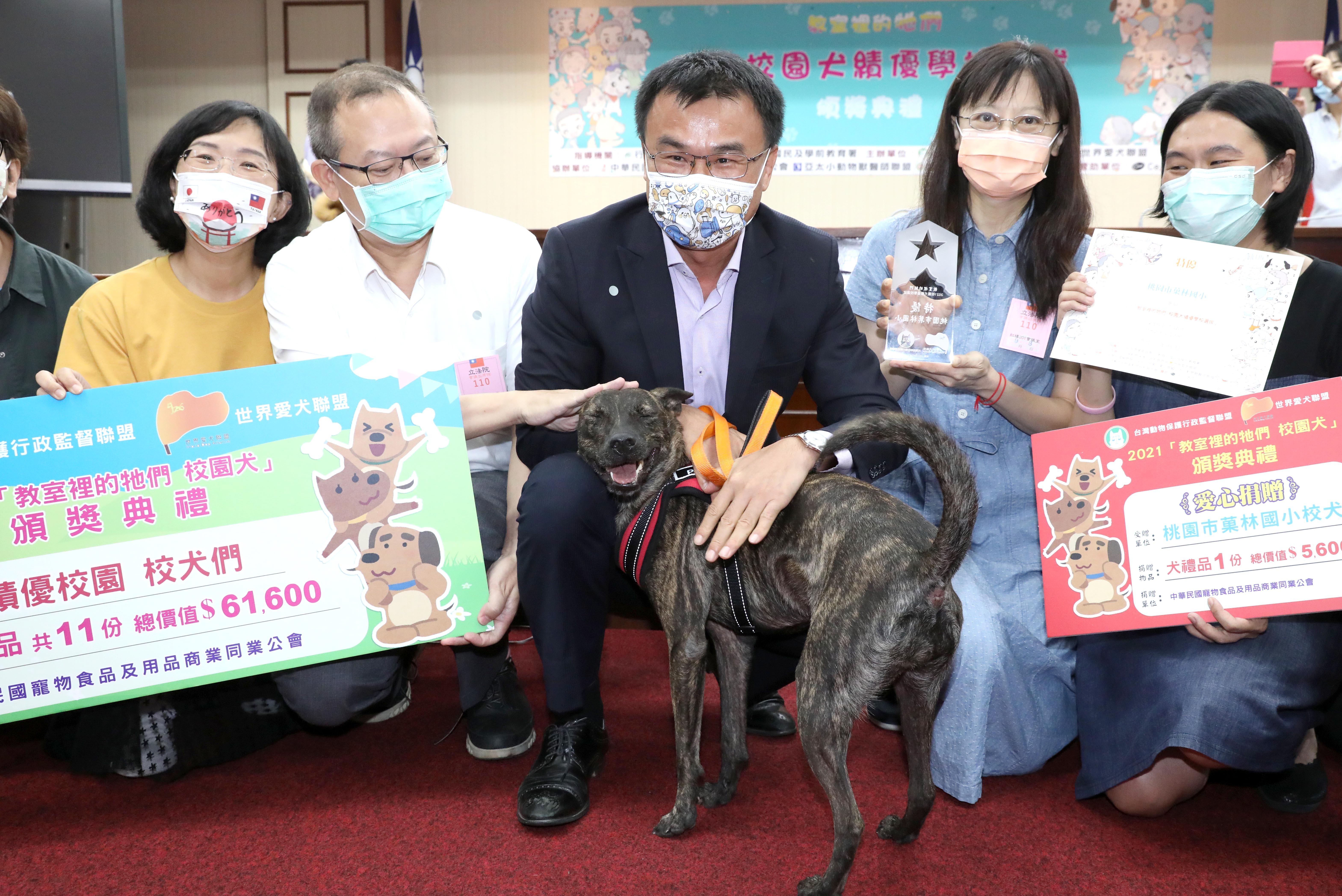 被趕走又回來 浪浪三度把校門當 家門 搖身變全校寶貝還得獎 Ettoday寵物雲 Ettoday新聞雲