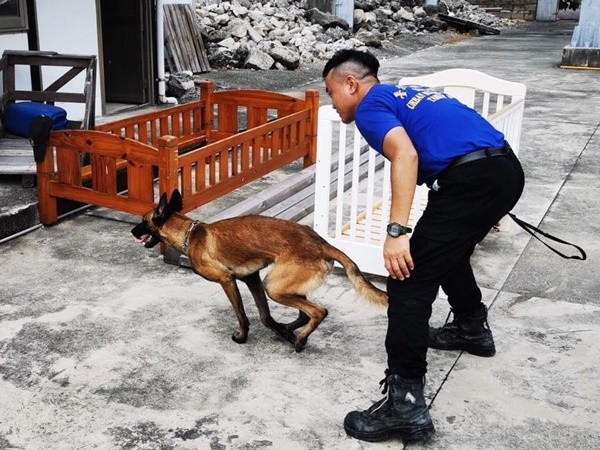 ▲▼搜救犬訓練。（圖／翻攝自Facebook／臺北市搜救隊）