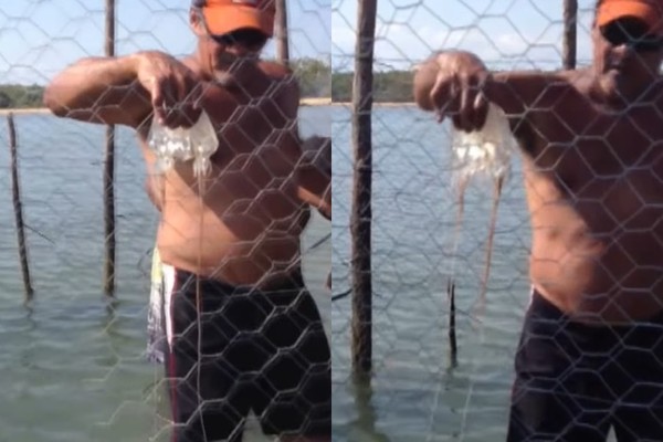 ▲▼澳洲男子徒手抓劇毒箱型水母。（圖／翻攝自Facebook／ABC Darwin）