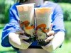 CoCo奶茶三兄弟買1送1、拿鐵第2杯半價