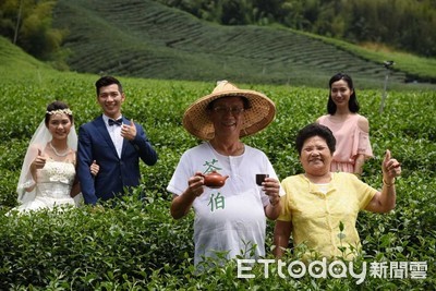 農委會補助茶博800萬誰爭取？林明溱：某候選人自己往臉上貼金