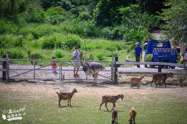 ▲▼原生應用植物園。（圖／滿分的旅遊札記提供）