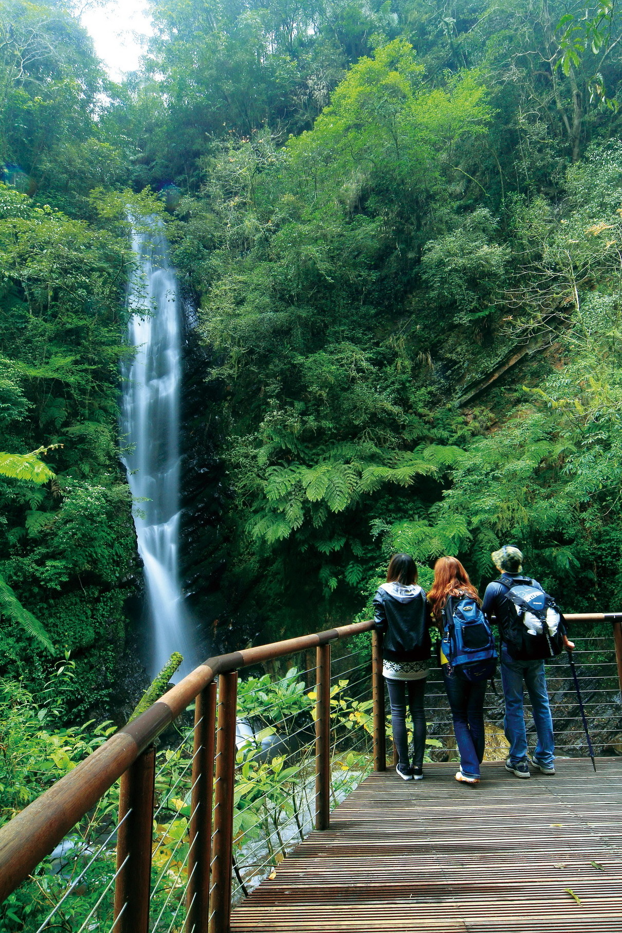 ▲▼璨樹風雨影響，12日起，抹茶山聖母（上圖）、九寮溪等13條登山步道封閉。（圖／羅東林管處提供，下同）