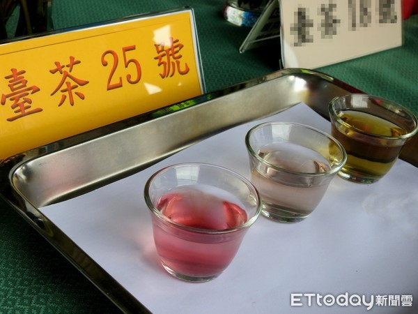 ▲茶改場魚池分場歡慶85歲生日，推出全台第一個紫芽茶樹新品種台茶25號。（圖／南投縣政府提供）