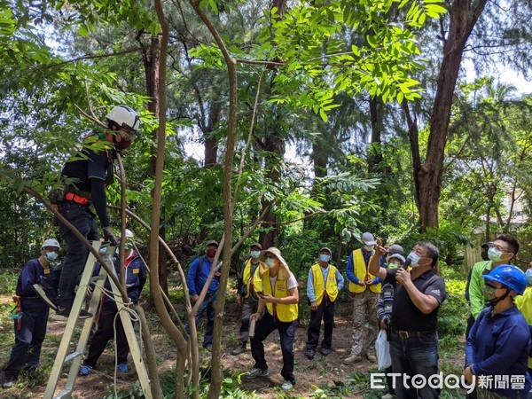 ▲台南市長黃偉哲表示，透過很好的修剪樹木技巧，讓台南市數量龐大的景觀綠樹，都能安全、健康、美觀的成長。（圖／記者林悅翻攝，下同）