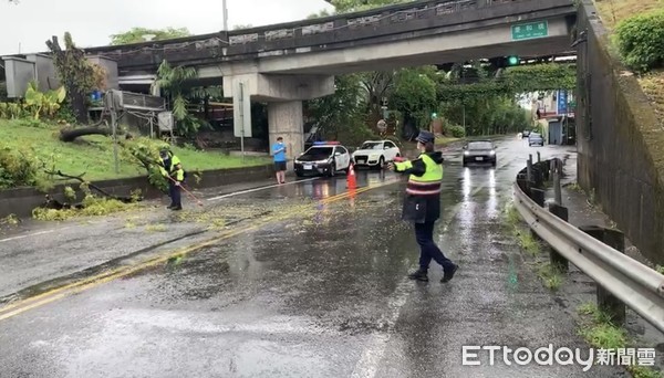 ▲▼宜蘭市環河與同慶路口有路樹，不敵因璨樹強風倒塌。（圖／記者游芳男翻攝，下同）