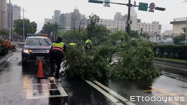 ▲強颱璨樹吹襲、北市中華路一段路樹倒塌、萬華龍山所警員到場排除。（圖／記者張君豪翻攝）