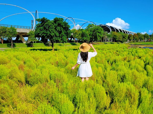 宜蘭冬山車站有3000顆波波草 稻草捲心酥中秋節還有大型滿月降臨 Ettoday旅遊雲 Ettoday新聞雲