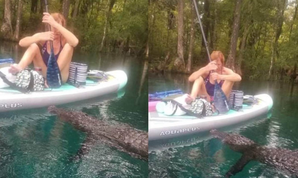 划船被3.6公尺巨鱷攻擊　女崩潰「狂揮划槳」30秒驚險片曝光！（圖／翻攝自Facebook／Vicki Reamy Baker）