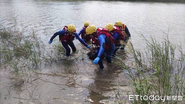 ▲救難人員發現彭男後，合力將遺體拉上岸。（圖／記者黃孟珍翻攝）