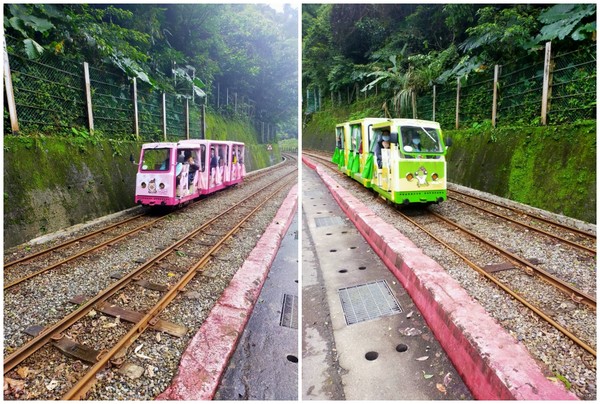 ▲烏來台車16日起重新營運,烏來瀑布。（圖／新竹林區管理處提供）