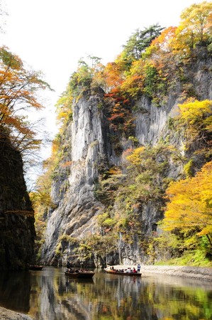 日本觀光局-岩手之旅（圖／日本觀光局提供）