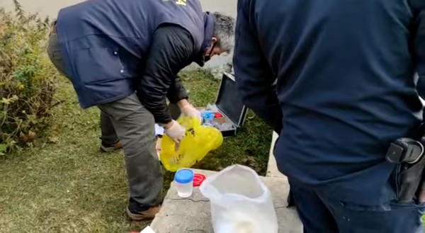 ▲▼阿根廷男子到母親家中除草，卻在花園驚見「瓶中陰莖」。（圖／翻攝自YouTube／Informese Primero）